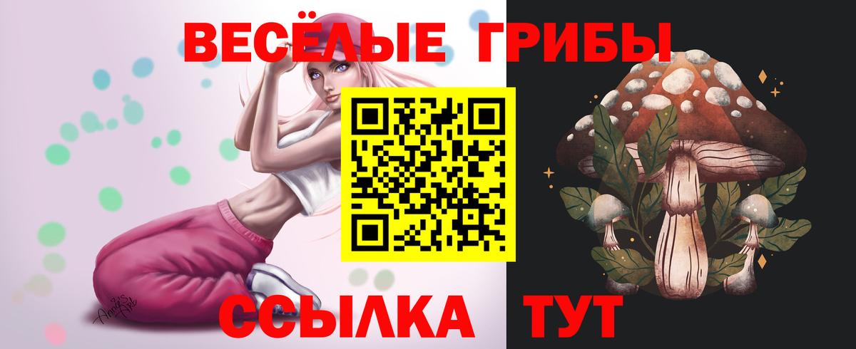 Красноярск  Псилоцибиновые грибы GOLDEN TEACHER  Вход с VPN 